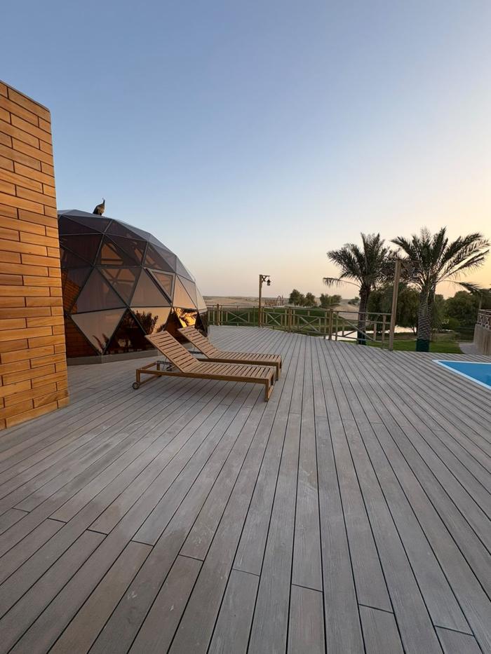 Terrasse en bois, transats, dôme vitré et palmiers face au désert.